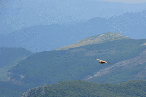 Vol de pente au Mont Trainon le 19 Juillet 2014