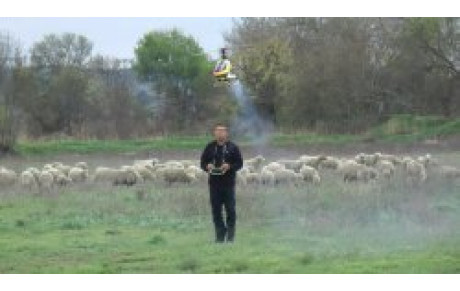 Fabrice dans ses oeuvres