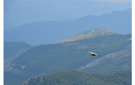 Vol de pente au Mont Trainon le 19 Juillet 2014