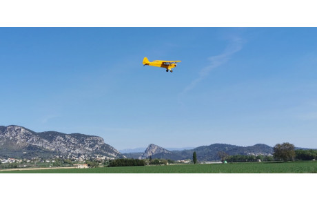Piper is in the air ! 